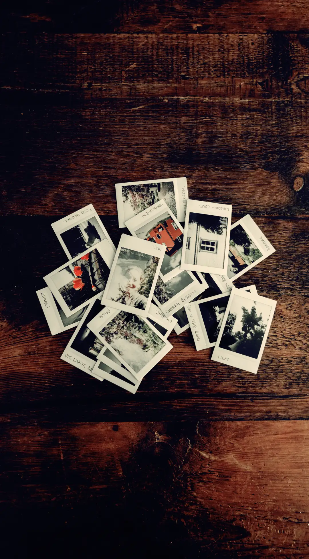 Photos instantanées capturant les moments magiques vécus avec Pop'in, symboles de souvenirs inoubliables.